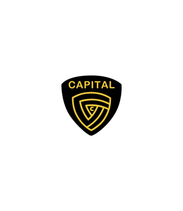 Capital Finance